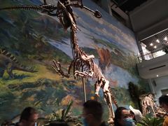 -自贡恐龙博物馆