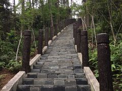 -田心森林公园