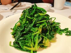清炒土菠菜-同庆楼(大钟寺店)