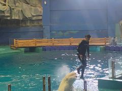 -威海华夏城景区