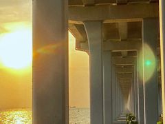 -宝安西湾红树林湿地公园