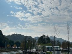 -千年银杏谷文化旅游区