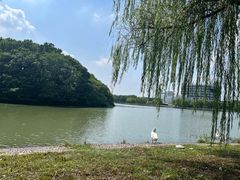 -东华大学(松江校区)