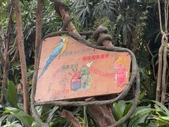 -广州长隆国际大马戏