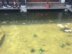 -膳和缘炒鸡店(南门路店)