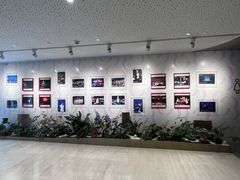 -交通银行前滩31演艺中心