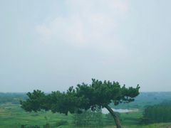 -恋山坝上草原