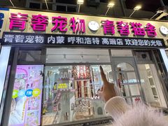 -青奢宠物·青奢猫舍