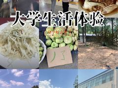 -山东艺术学院(长清校区)