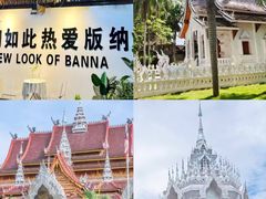 -西双版纳原始森林公园