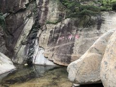 -无染寺