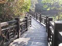 -白马涧龙池景区