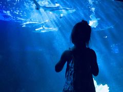 -太平洋海底世界