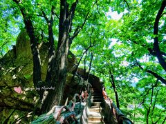 -五女峰国家森林公园