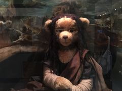 -济州岛泰迪熊博物馆