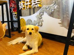 -元氏钵仔糕(北京路店)