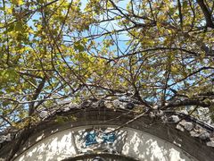 -老张烤羊(王哥庄店)