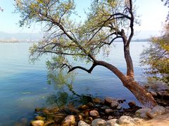 -西昌邛海湿地