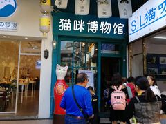 门面-猫咪博物馆(顶澳仔猫街店)