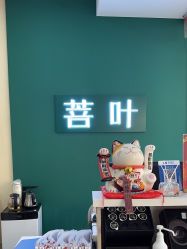 -菩叶脱发白发中心