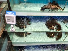 -盒马鲜生(红莲店)