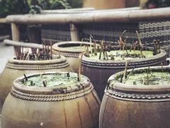 -乐领拈花溪·林涧食韵