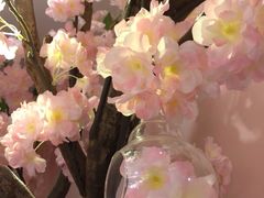 -樱花里音乐餐吧·牛扒椰子鸡(东圃店)
