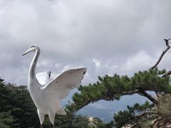 -罗田天堂寨风景区