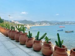 -大梅沙海滨公园