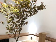 -光作面包Voila Lumiere(中山店)