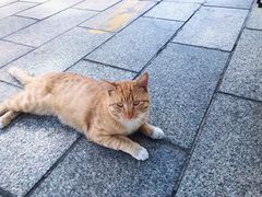 -中华人民共和国水准零点