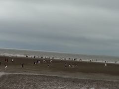 -启东黄金海滩景区