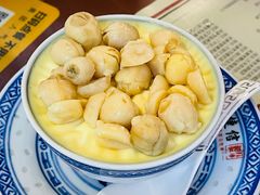 双皮奶-捷信牛奶甜品世家(五道口店)