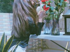 -杨梅坑