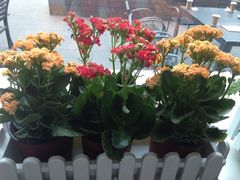 iphone_upload_pic-蔓兰家的四季S0餐厅·融合菜(当代MOMA店)