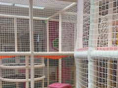 -孩子王童乐园(广州南沙万达店)