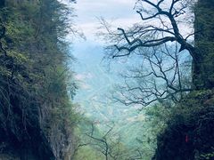 -塔云山