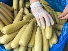 -西双版纳集贸市场
