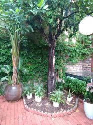 -非常六加一儿童摄影(同安店)