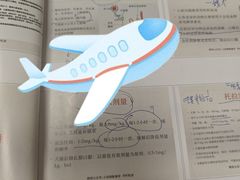 -瑞鹏宠物医院·爱宠堂·骨外专科(西荷分院)