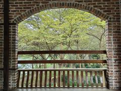 -田野绿世界