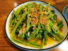飞天空心菜-苏梅花园(群星城店)