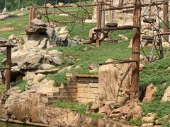 -石家庄市动物园