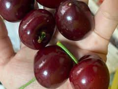 -T11生鲜超市(朝阳公园店)