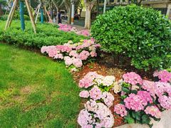 -徐家汇源景区-衡山公园