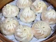 -莱莱小笼·乔艾
