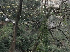 -峙山公园