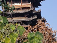 -杭州半山国家森林公园