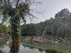 -宁波野生动物园