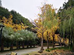 -苏州河梦清园环保主题公园